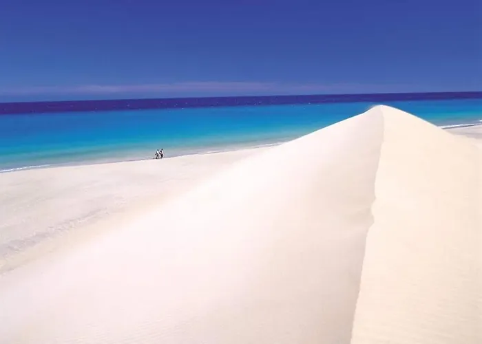 Sol Surf لاجاريس